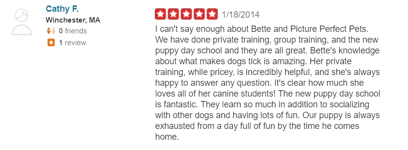 What kind of dog trainer is Bette Yip? See what previous students say! Private Dog Training 